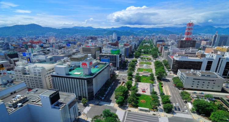 道央圏の主要な交通拠点である新札幌に立地